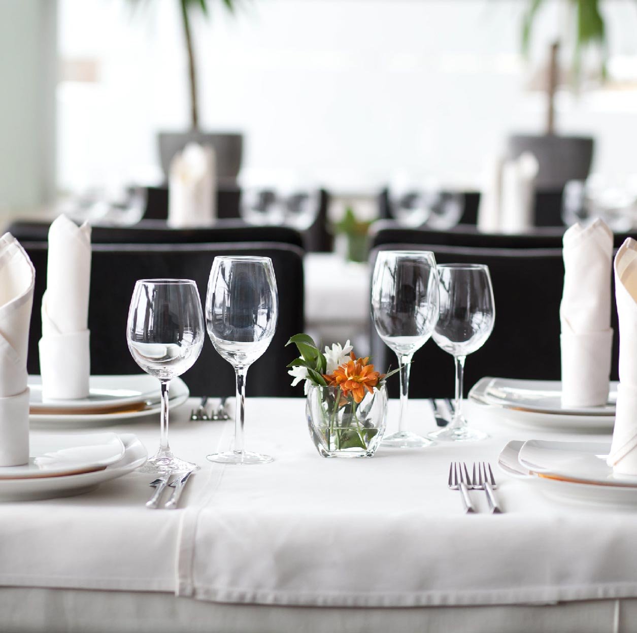 hp-table-fine-dining.jpg